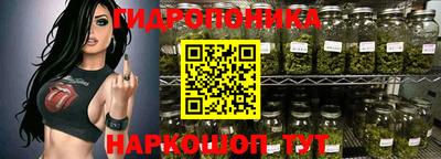 дживик Кингисепп