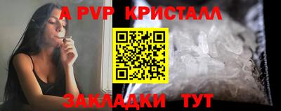 дживик Кингисепп