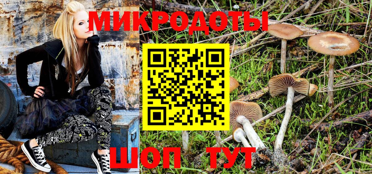 Псилоцибиновые грибы Psilocybe Котовск