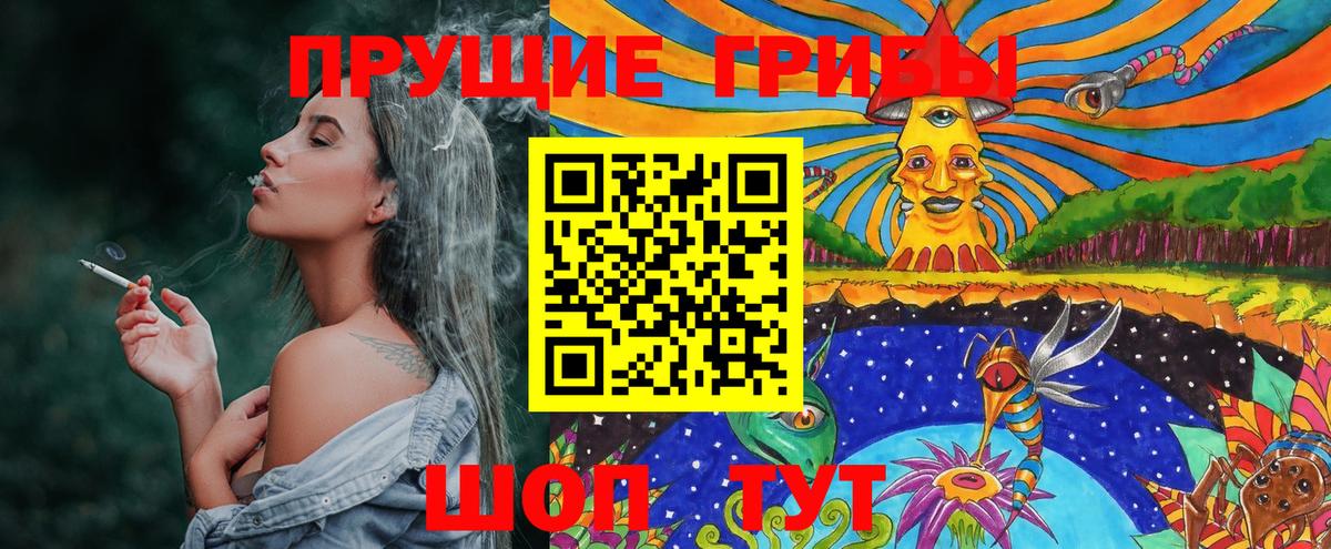 Галлюциногенные грибы MAGIC MUSHROOMS  Вход с VPN  Котовск 